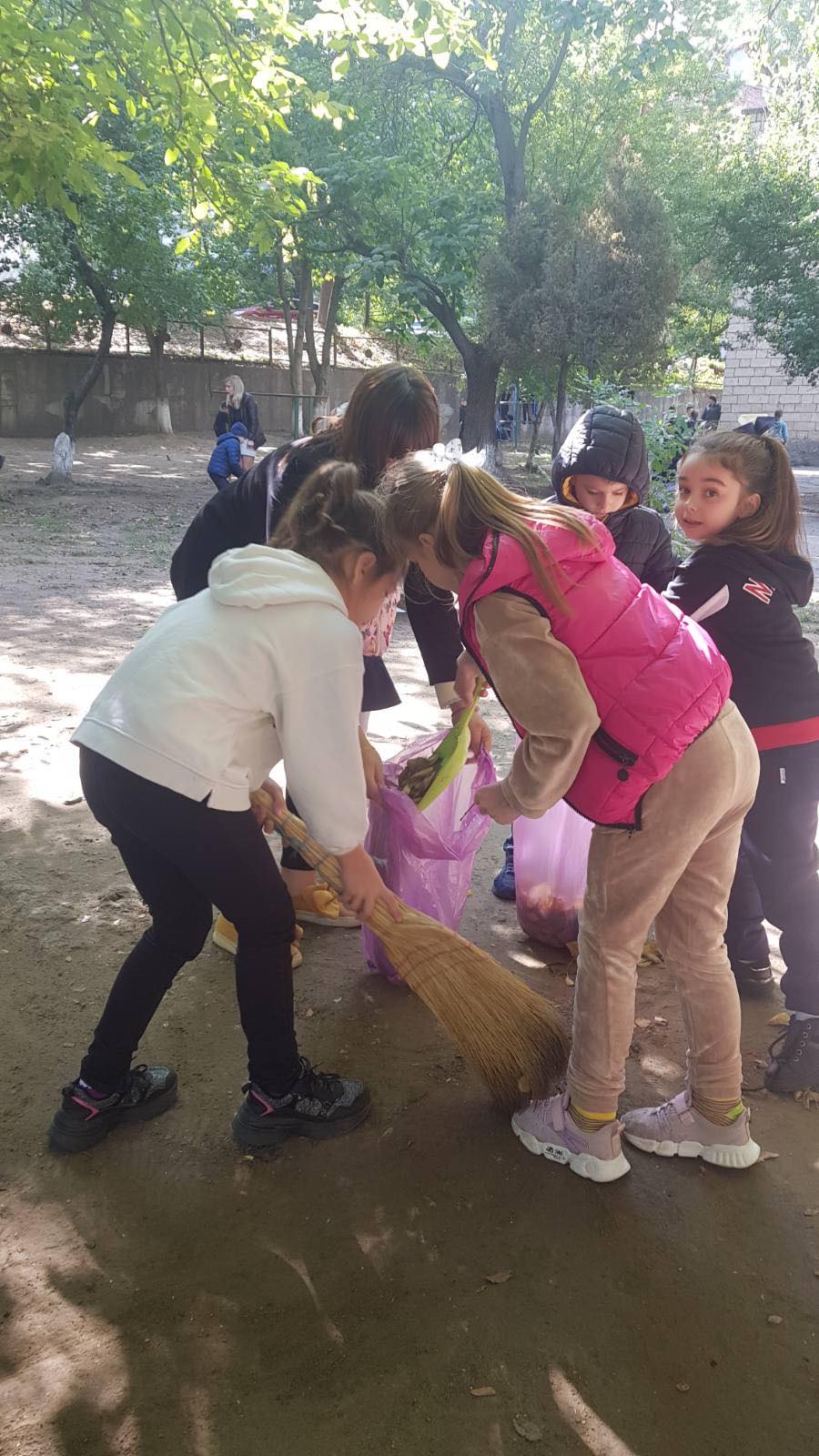 Salubrizarea de toamnă